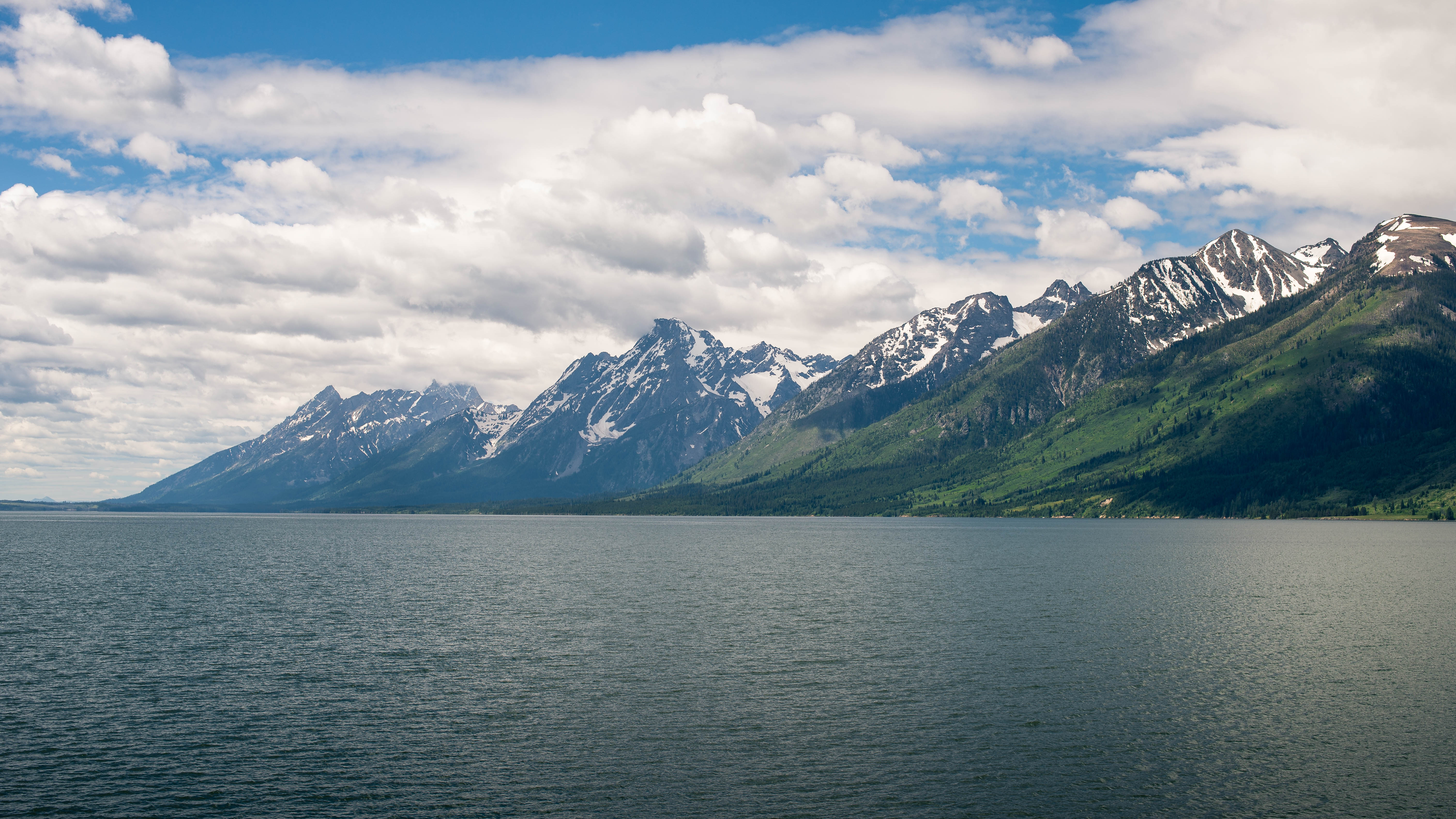DSC_0431-1
